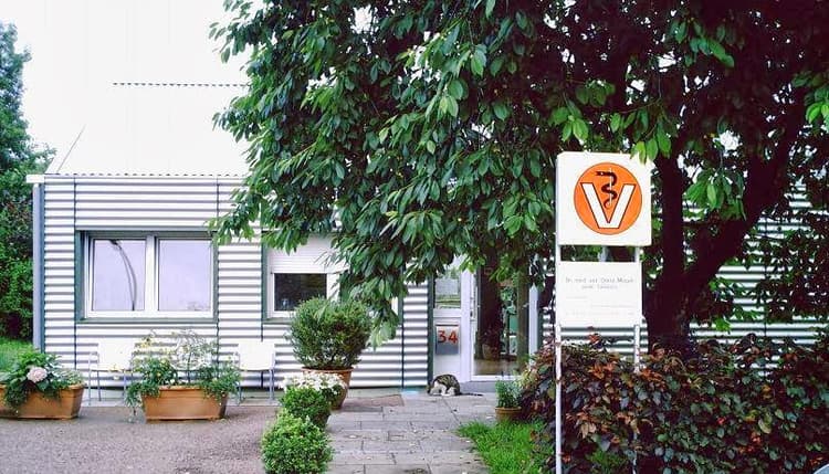 Vorschau von Dr. Dörte Maack Tierärztin