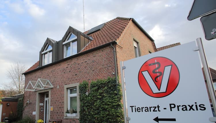 Vorschau von Tierarzt Praxis DVM Lehmann