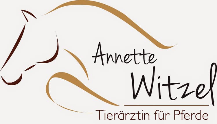Preview of Annette Witzel - Tierärztin für Pferde