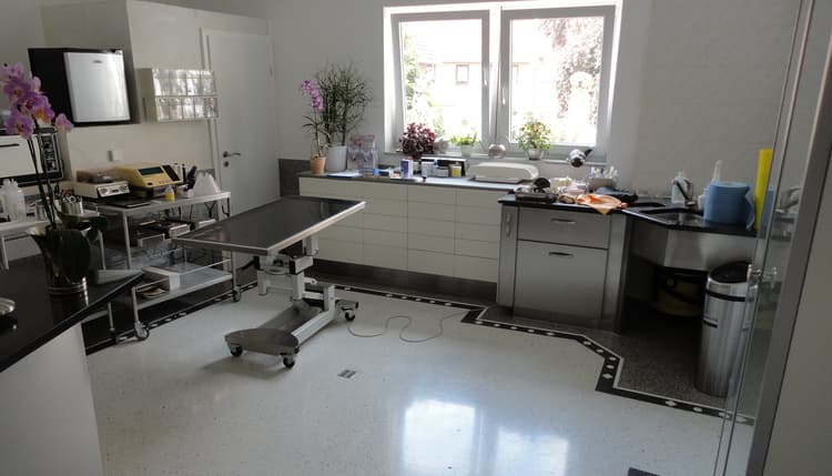 Vorschau von Dr. med. vet. Elke Heinemann-Tronke
