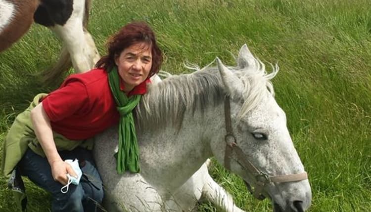 Vorschau von Tierarztpraxis Janine Bahr- van Gemmert