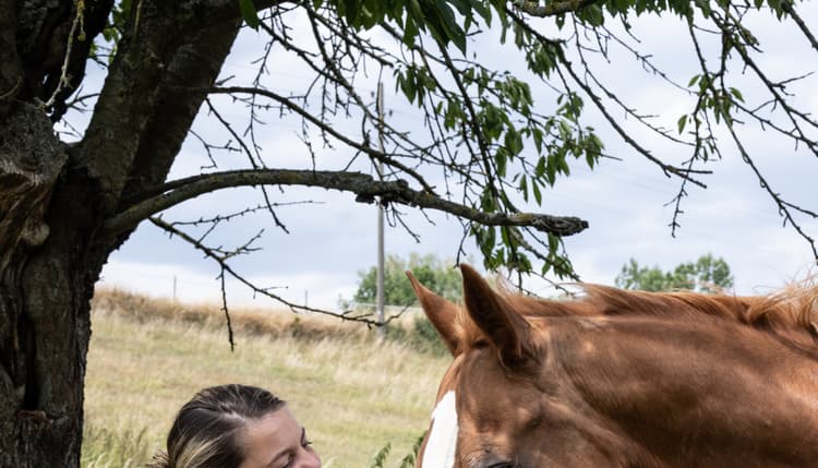 Vorschau von Carina Horter Mobile Tierarztpraxis - Schwerpunkt Zahnmedizin für Pferde