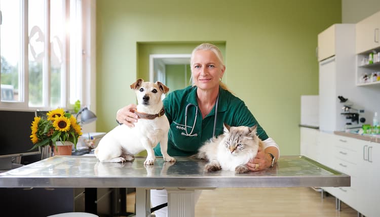 Vorschau von Dr.med.vet. Alexia Plochmann Tierärztin