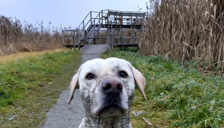 Vorschau von Tierärztliche Gemeinschaftspraxis in Oberschwaben