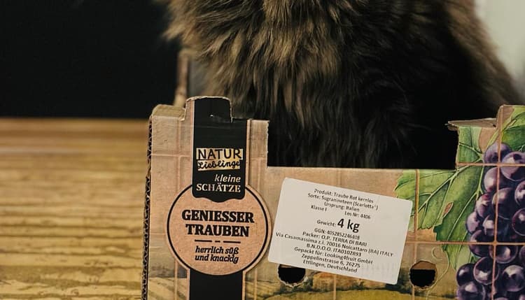 Vorschau von Dr.med.vet. Silke Bretzinger Tierärztin