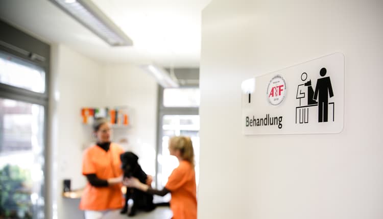 Vorschau von Dr. med.vet. Sandra Bühler-Leuchte / Tierärztin