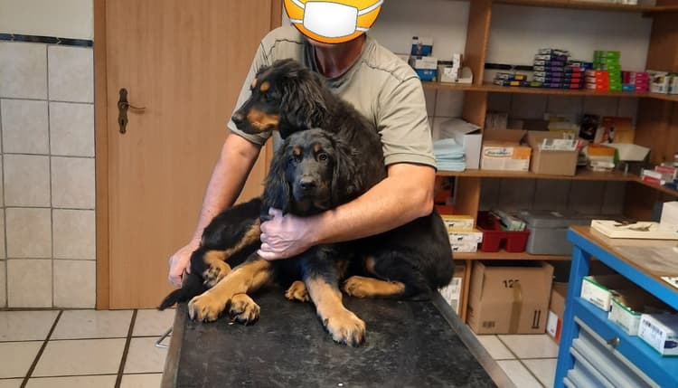 Vorschau von Dr. med. vet. B. Eigendorf