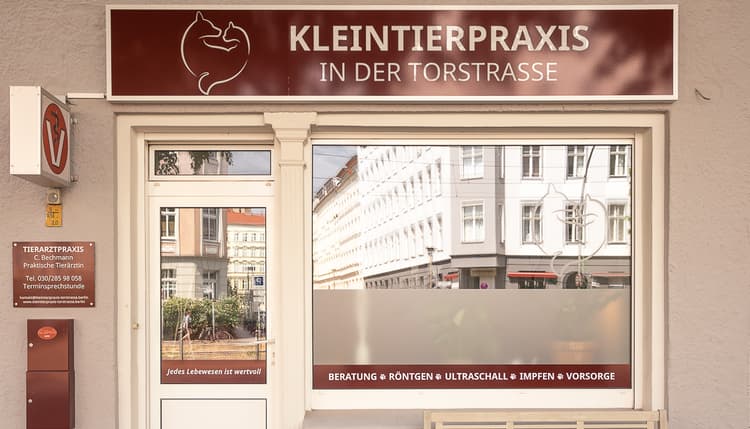 Vorschau von Christin Bechmann - Kleintierpraxis in der Torstrasse