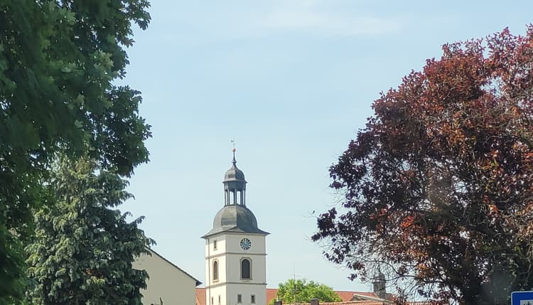 Vorschau von Karl-Werner Klein Tierarzt