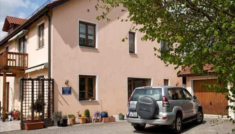 Vorschau von Alfred Segiet