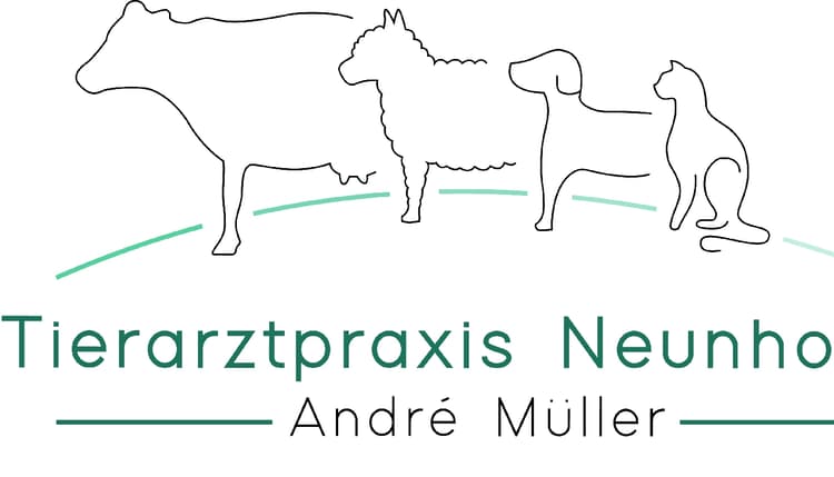 Vorschau von Tierarztpraxis Neunhofen