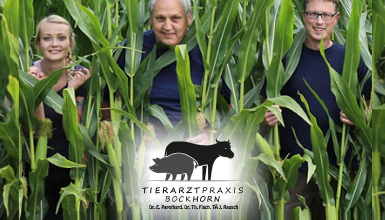 Vorschau von Tierarztpraxis Bockhorn