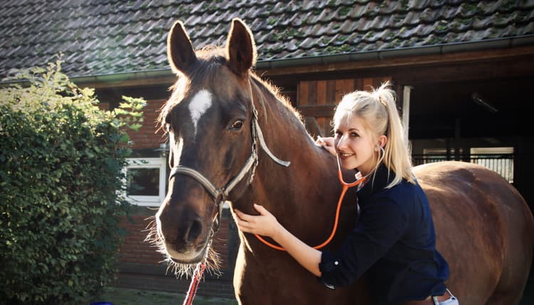 Vorschau von Equuria GbR | Pferdepraxis