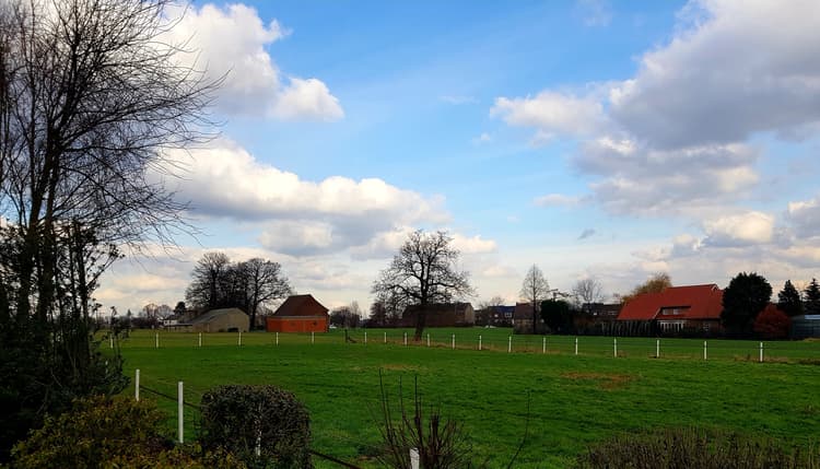 Vorschau von Tierärztliche Praxis für Kleintiere Dorfheide