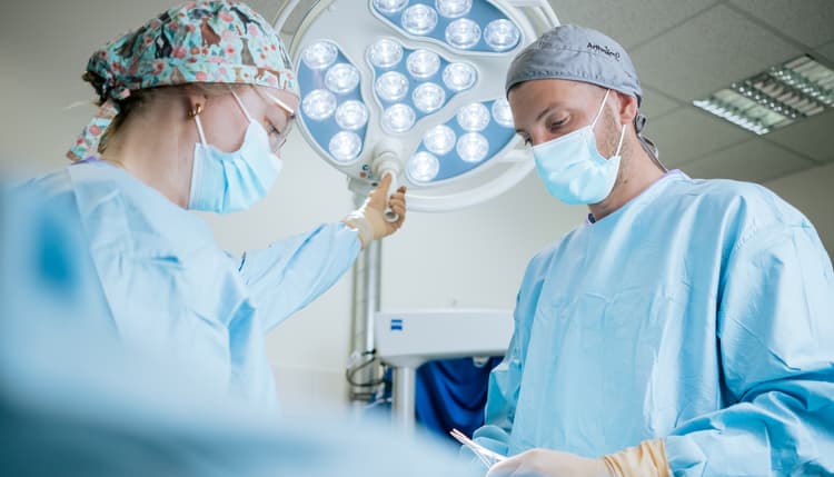 Vorschau von Tiergesundheitszentrum Hamburg