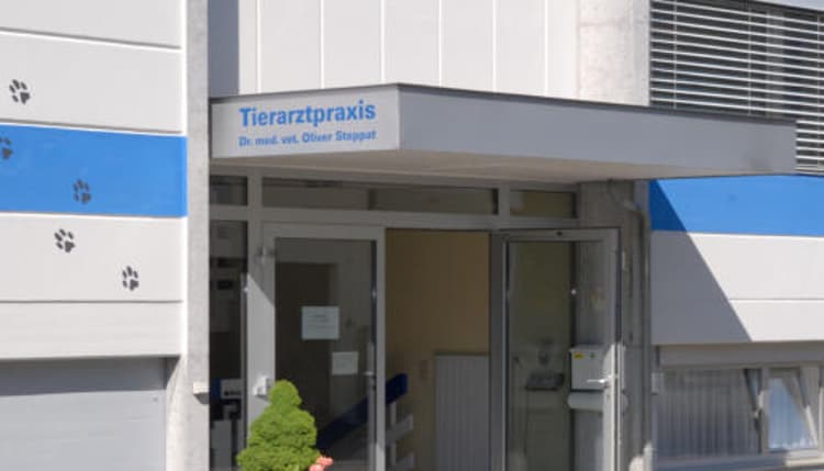 Vorschau von Tierarztpraxis Dr. Oliver Steppat