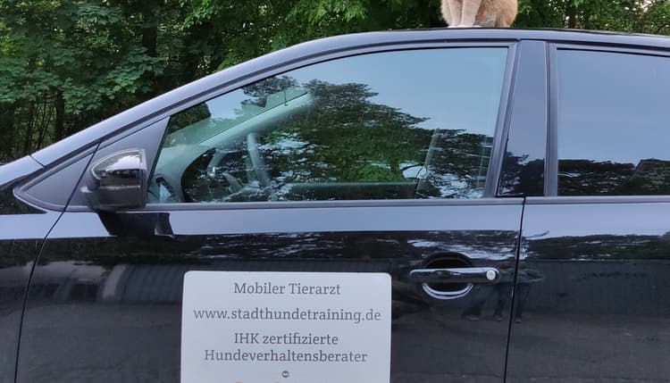Vorschau von Mobile Tierarztpraxis Brit von Plettenberg