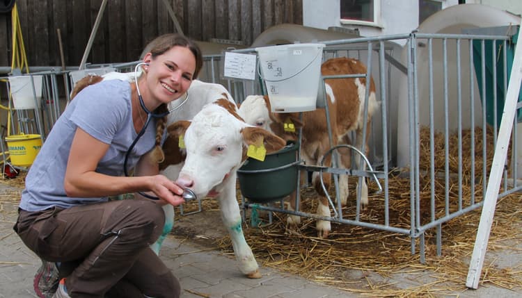 Vorschau von Tierarztpraxis Nina Siegmund für Rinder & kleine Wiederkäuer