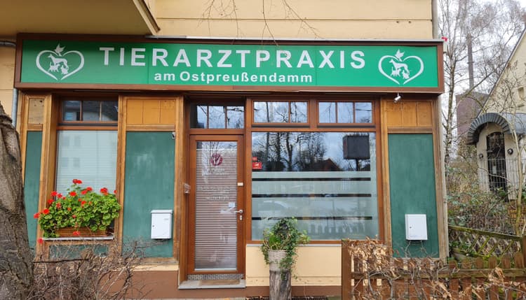 Vorschau von Martyna Pohnke Tierarzt
