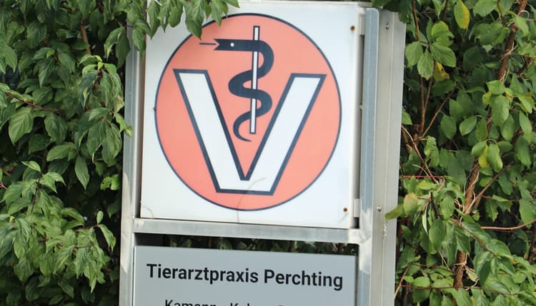 Vorschau von Tierarztpraxis Perchting