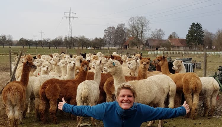 Vorschau von Tierarztpraxis Dr. Niky Ryba