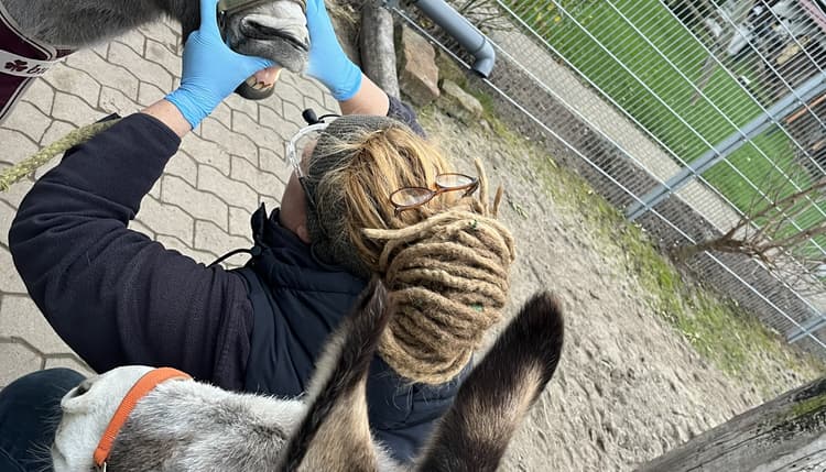 Vorschau von Kerstin Rückwardt