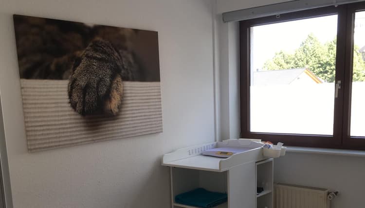 Vorschau von Hund Katze Haut - Königswinter