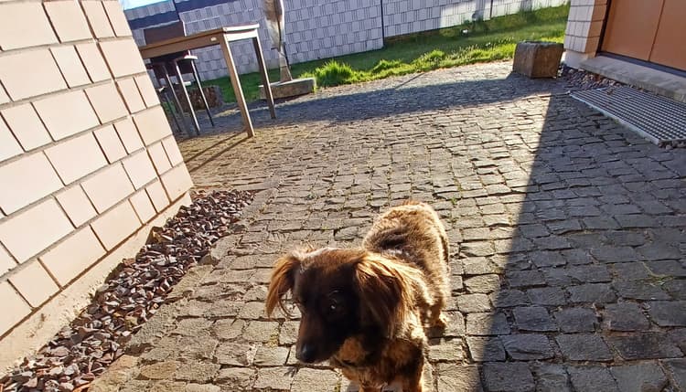 Vorschau von Tierarztpraxis Bruno Baar-Grüttemeier