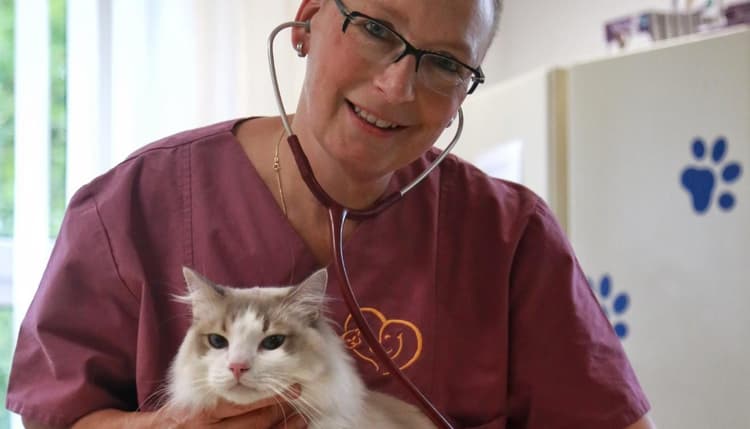 Vorschau von Christiane Bauer Praktische Tierärztin