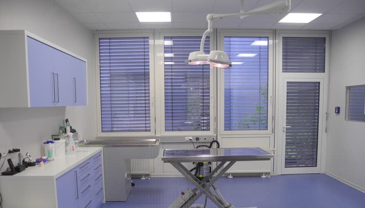 Vorschau von Kleintier Chirurgie Dreilinden, Dr. M. Burger, DECVS