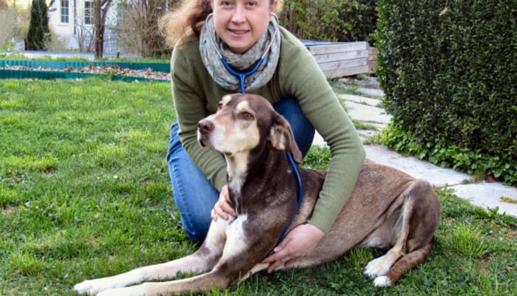 Vorschau von Tierärztliche Praxis Imogen Berger