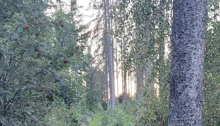 Vorschau von Tierarztparxis Elvire Hudler Oerlinghausen