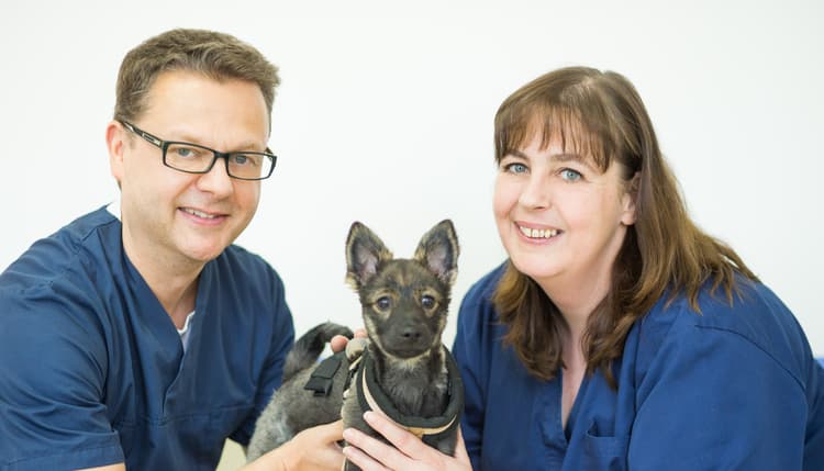 Vorschau von Bergmann und Stutte ; Tierärztliche Gemeinschaftspraxis