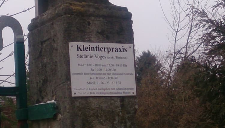 Vorschau von Stefanie Voges