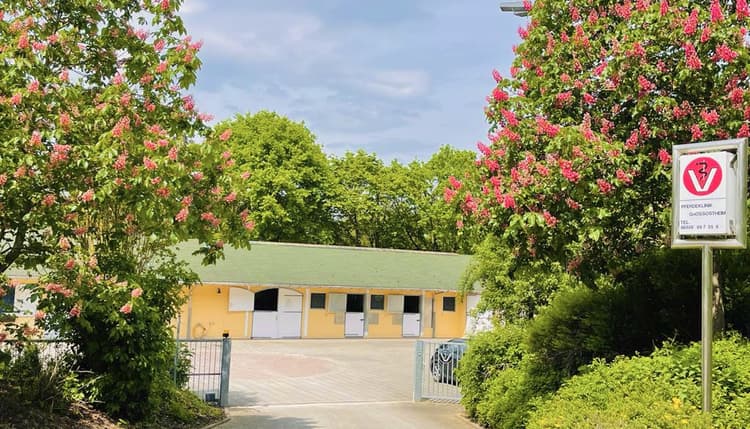 Vorschau von Pferdeklinik Großostheim