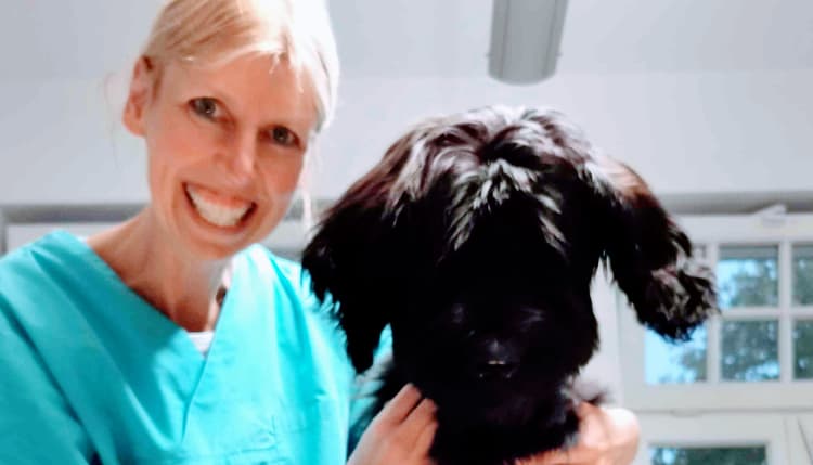 Vorschau von Dr. med. vet. Nicola Hörsting