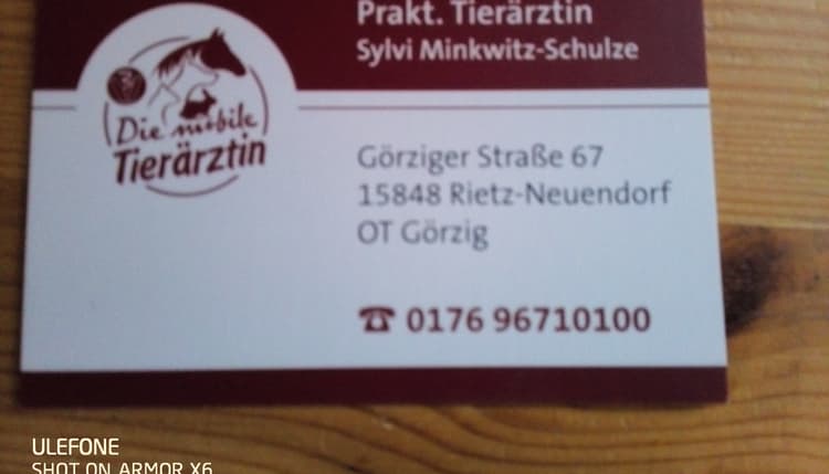 Vorschau von Tierärztin Frau Sylvi Minkwitz-Schulze