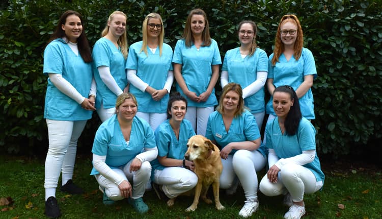 Vorschau von Kleintierpraxis Kaiserslautern Tierärzte IVC Evidensia GmbH