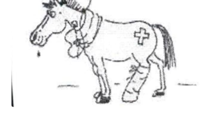 Vorschau von Karl-Anton Breunig Tierärztliche Praxis für Pferde