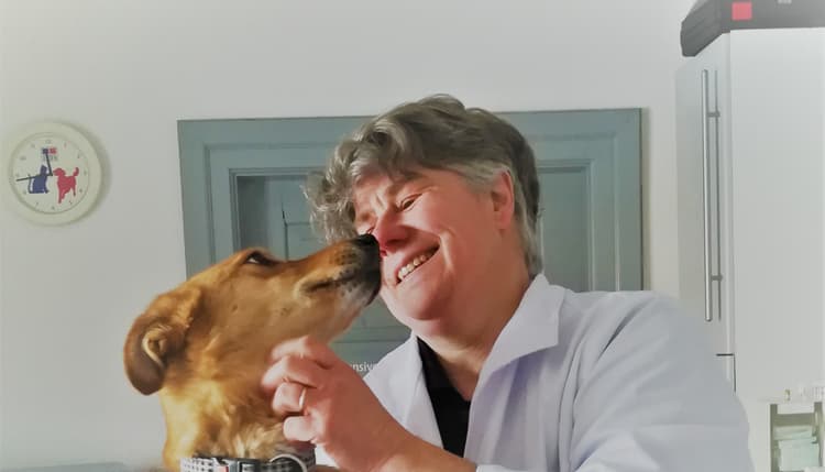 Vorschau von Tierarztpraxis Dr. Grebenau-Klehr