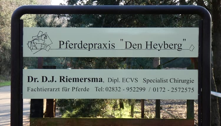 Vorschau von Pferdepraxis Den Heyberg