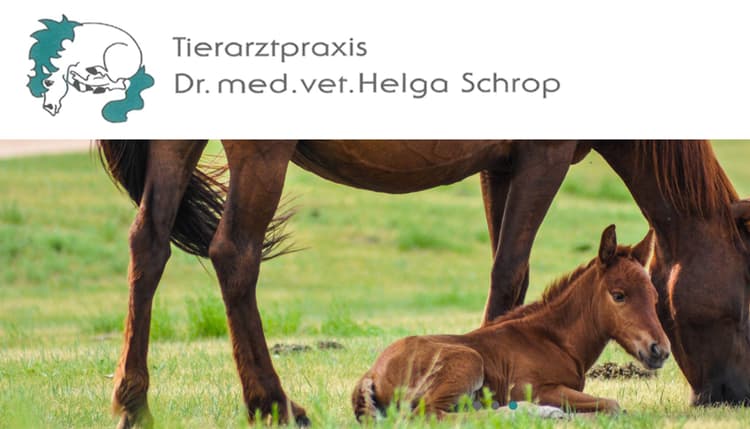 Preview of Dr. med. vet. Helga Schrop | Tierärztin für Pferde