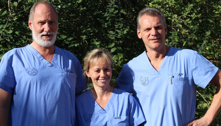 Vorschau von Tierarzt/Tierklinik Rostock 24/7 Notfallklinik