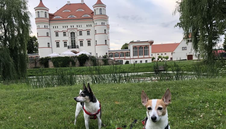 Vorschau von Dr. med. vet. Ines Schmid