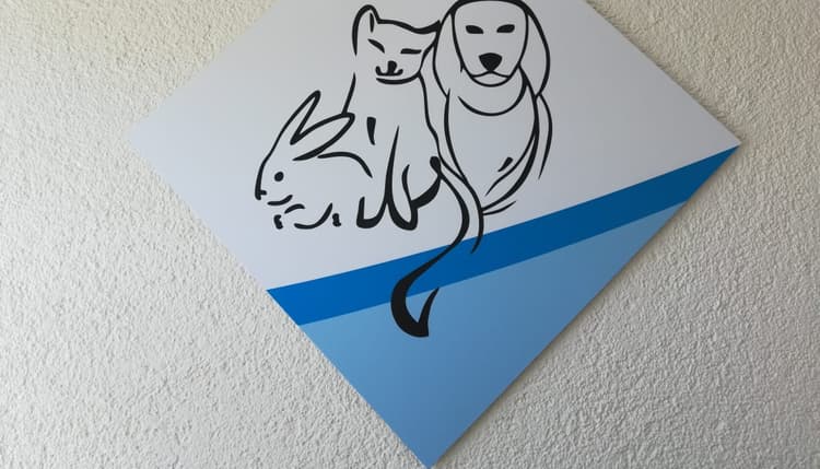 Vorschau von Kleintierpraxis Ribnitz