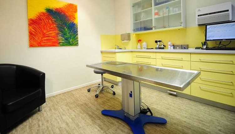 Vorschau von Kleintierpraxis in Burgdorf - Willenbockel & Völker GbR
