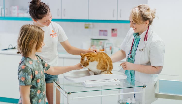 Vorschau von Tierärztin Kerstin Korch