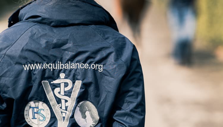 Vorschau von EquiBalance Tierarztpraxis und Rehazentrum Julia Sack
