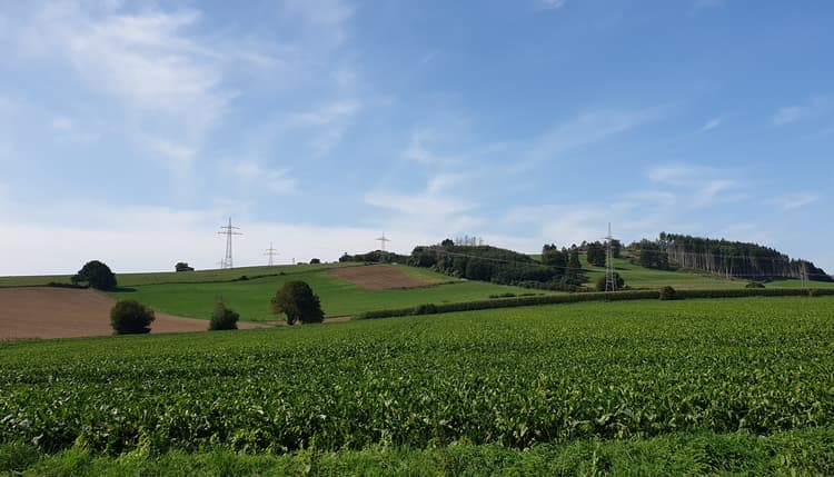 Vorschau von Jens Mühlberg