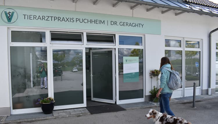 Vorschau von Tierarztpraxis Puchheim - Dr. Geraghty